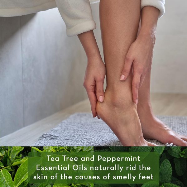 Tea Tree Oil Foot Scrub, 12 ounces - Cleanses and Exfoliates - Attacks the Cause of Smelly Feet - Great for Athletes - by Pure Body Naturals - Image 3